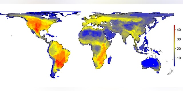 The diversity of large mammals if humans never existed.