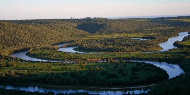 The Sibuya Game Reserve (pictured) is one of the more popular game reserves in the Eastern Cape and is home to Africa's 'Big Five' - lion, rhino, leopard, buffalo and elephant.