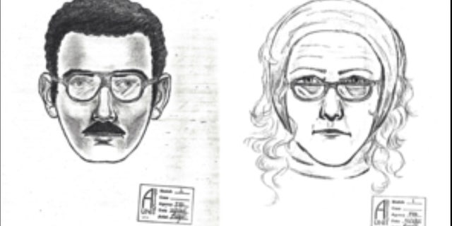Composite sketches were released after a man and a woman stole a valuable de Kooning painting from the University of Arizona museum in 1985.