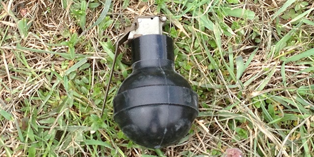 Skunk grenade.