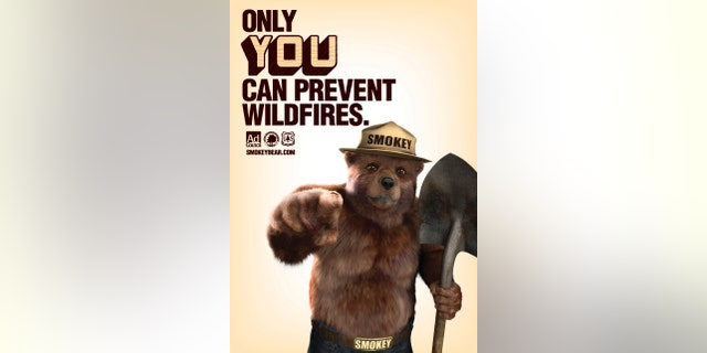 Smokey Bear is pictured in a 2011 US Forest Service poster in this undated handout photo obtained by Reuters August 8, 2014.