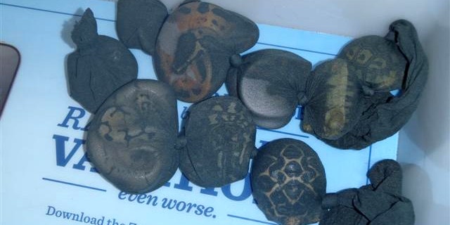 A TSA screening revealed seven exotic snakes and three tortoises held in nylon bags that a traveler had concealed inside his pants.