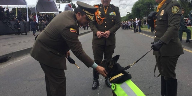 Sombra, who's reportedly worked with police in more than 300 counternarcotics operations, was relocated to an airport in Bogotá for her safety.