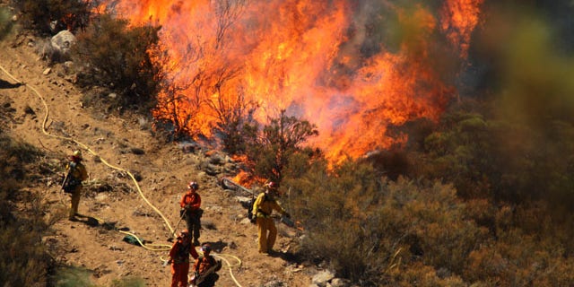 July 17, 2013: A female inmate hand crew from Puerta La Cruz and firefighters in an engine company with them set fire to reinforce the line to stave off part of the Mountain Fire burning up a hill toward them off Apple Canyon Road near Lake Hemet, Calif. Officials say the wildfire in the mountains west of Palm Springs has destroyed three houses and three mobile homes and is threatening dozens more residences. (AP Photo/The Desert Sun, Crystal Chatham)