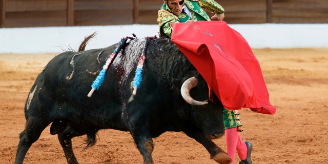 Spanish bullfighter Juan Jose Padilla performs during a bullfight at the southwestern Spanish town of Olivenza, Sunday, March 4, 2012.