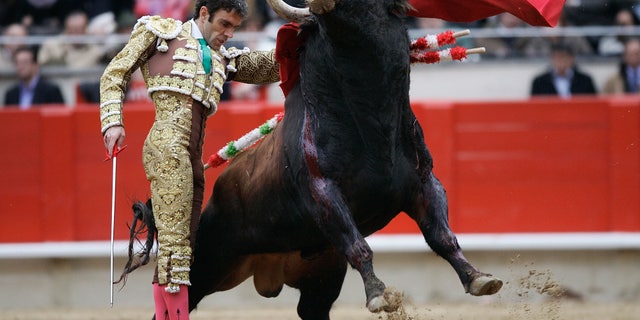 Spanish bullfighter Jose Tomas makes a pass during a bullfight at the Monumental Bullring in Barcelona. Tomas, one of Spain's top matadors known for a daring bullfighting style, will come back to the bullring Saturday, July 23, 2011 in Valencia, Spain after he was seriously injured in Mexico over a year ago.