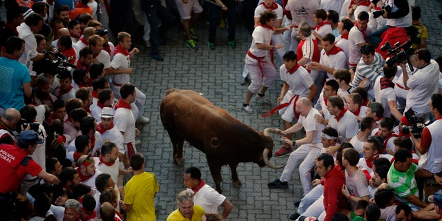 A reveler grabs the horn of an Alcurrucen's ranch fighting bull during the running of the bulls of the San Fermin festival, in Pamplona, Spain, Sunday, July 7, 2013.