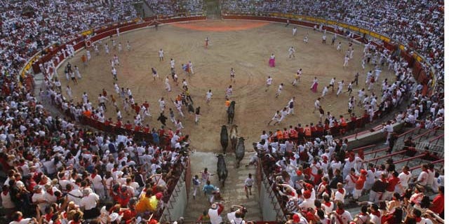 July 14, 2013: Runners arriving to the bull ring with "Miura" fighting bulls during the eighth and last running of the bulls at the San Fermin festival, in Pamplona, Spain. (AP Photo/Alvaro Barrientos)