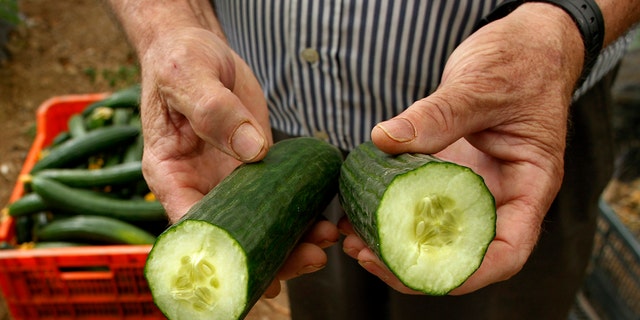 Contaminated cucumbers from Spain may have killed 16 people and sickened dozens of others in Europe in a mysterious bacterial outbreak linked to E. coli.