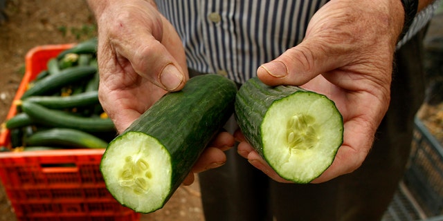 Contaminated cucumbers from Spain may have killed 16 people and sickened dozens of others in Europe in a mysterious bacterial outbreak linked to E. coli.