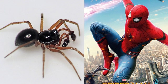 Credit: Martin Cooper/Flickr, Marvel Studios, Columbia Pictures)