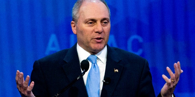 df43c73b-Steve Scalise