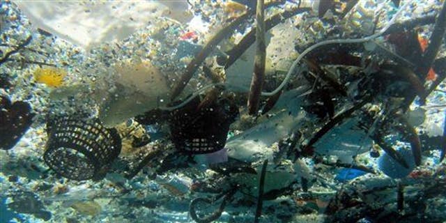 This 2008 photo shows debris in Hanauma Bay, Hawaii.