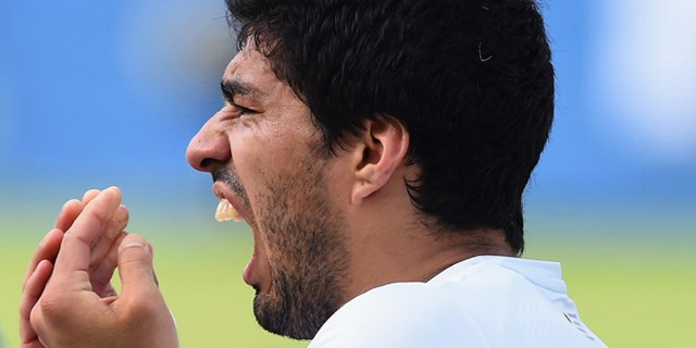 NATAL, BRAZIL - JUNE 24: Luis Suarez of Uruguay reacts after a clash during the 2014 FIFA World Cup Brazil Group D match between Italy and Uruguay at Estadio das Dunas on June 24, 2014 in Natal, Brazil. (Photo by Matthias Hangst/Getty Images)