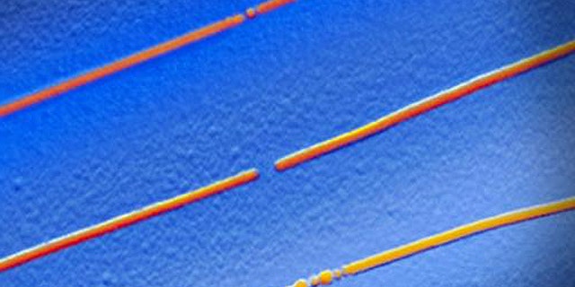 Three parallel memory bits with carbon nanotube electrodes -- hair-thin elements that could be used to build super-endurance batteries. The middle bit is in the "off" state, the other two are "on." A silicon dioxide substrate is shown in blue.