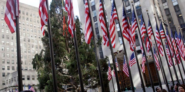 The 80th Rockefeller Center Christmas Tree was raised in New York's Rockefeller Center in 2012. The 80-foot Norway spruce, donated by Joseph Balku of Flanders, N.J., was strung with 30,000 multi-colored LEDs on 5 miles of wire, and topped with a Swarovski Crystal Star.