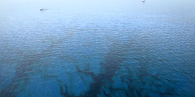 Oil floats in the water near the source of the Deepwater Horizon oil spill in the Gulf of Mexico.