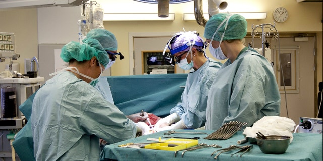 The Swedish research team practices before the operations to transplant wombs at the Sahlgrenska Hospital in Goteborg, Sweden. Nine women in Sweden have successfully received transplanted wombs donated from relatives and will soon try to become pregnant, the doctor in charge of the pioneering project has revealed.