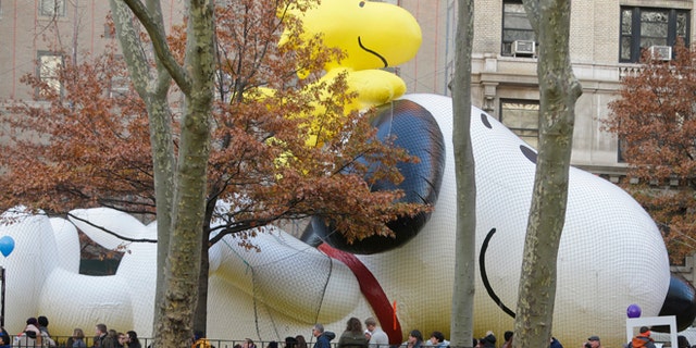 Nov. 25, 2015: People pass the Snoopy with Woodstock balloon as preparations continue for the Macy's Thanksgiving Day Parade.