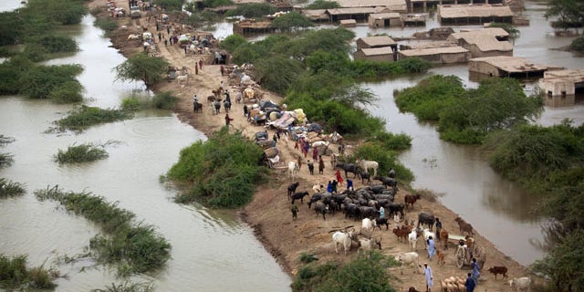 August 29: Pakistani's displaced by flooding take shelter on the higher ground of an embankment near the flooded Indus River, outside Thatta, Sindh Province, southern Pakistan. (AP)