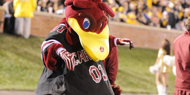 Oct 26, 2013; Columbia, MO, USA; The South Carolina Gamecocks mascot performs for the crowd during the second of the game against the Missouri Tigers half at Faurot Field. South Carolina won 27-24. Mandatory Credit: Denny Medley-USA TODAY Sports