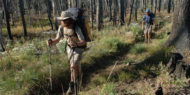 Andrew Schurr leads Cal Seabaugh up the Pacific Crest Trail near Santiam Pass, Ore., in the Oregon Cascades.