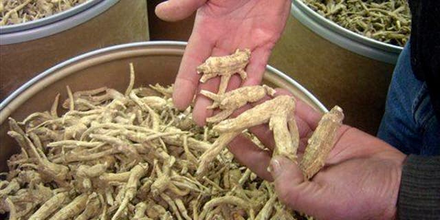 This Dec. 15, 2009 file photo shows ginseng roots at a ginseng-cleaning plant in Wausau, Wis. Wisconsin produces 90 percent of the nation's ginseng crop, most of which gets exported to China.