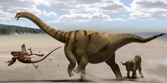 This life restoration shows the adult Brontomerus as a mother, protecting her baby from a predator by using her powerful thigh muscles to deliver a devastating kick.