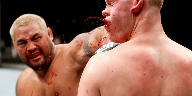 SAITAMA, JAPAN - MARCH 03: (L-R) Mark Hunt knocks out Stefan Struve with a punch in their heavyweight fight during the UFC on FUEL TV event at Saitama Super Arena on March 3, 2013 in Saitama, Japan. (Photo by Josh Hedges/Zuffa LLC/Zuffa LLC via Getty Images)