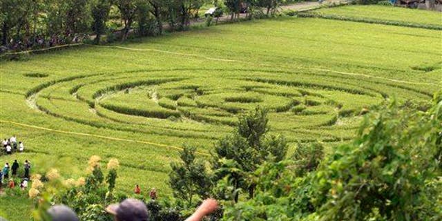 A 2011 photo of a crop circle that generated headlines in Sleman, Indonesia.