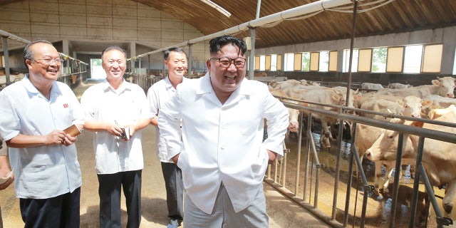 NORTHKOREA-POLITICS