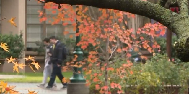 (Image: Screen grab via Fox40 Sacramento)