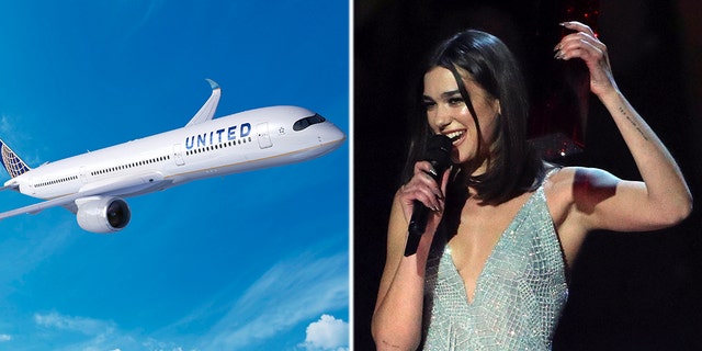 Pop singer Dua Lipa took to Twitter to call out United Airlines on how it handled her sister’s peanut allergy.