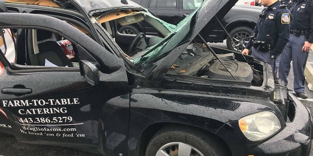 The driver was an employee of Braglio Farms in Woodstock, Maryland, owner Scott Braglio said.