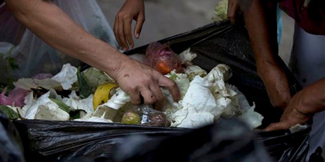 En esta imagen, tomada el 2 de junio de 2016, varias personas revisan bolsas de basura en busca de frutas y verduras en el exterior de un supermercado en el centro de Caracas, en Venezuela. A las personas desempleadas que buscan comida entre los alimentos que tiran las tiendas suelen unirse ahora propietarios de pequeños negocios, estudiantes universitarios o jubilados, personas que se consideran dentro de la clase media. El nivel de vida se ve afectado desde hace tiempo por una inflación de tres dígitos y escasez de alimentos, algo que lleva a muchos a recurrir a la agricultura urbana para devolver las verduras a su dieta. (AP Foto/Fernando Llano)