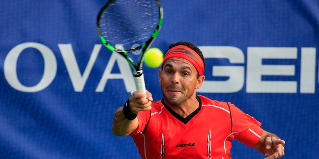 WASHINGTON, DC - JULY 29: Victor Estrella Burgos of the Dominican Republic returns a shot to Tobias Kamke of Germany during the Citi Open at the William H.G. FitzGerald Tennis Center on July 29, 2014 in Washington, DC. (Photo by Rob Carr/Getty Images)