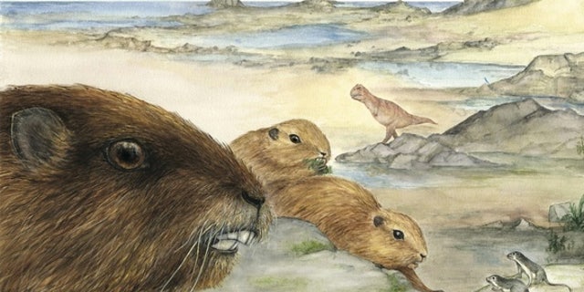An artist's interpretation of the mammal Vintana sertichi, which lived during the time of the dinosaurs about 66 to 72 million years ago on the supercontinent Gondwana.