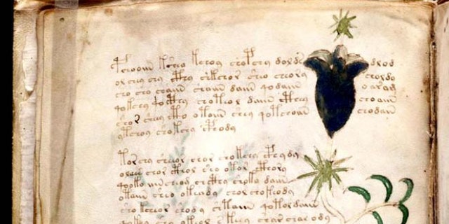 The Voynich manuscript's unintelligible writings and strange illustrations have defied every attempt at understanding their meaning.