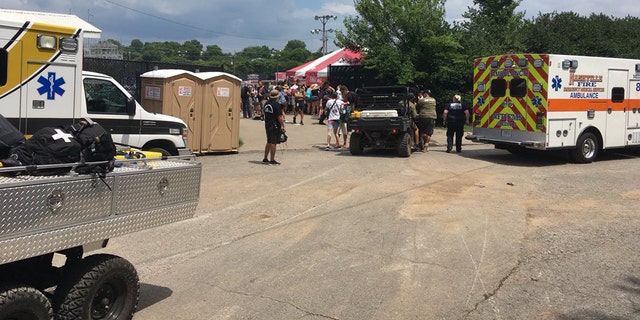 Concertgoers attending the Vans Warped Tour in Nashville, Tenn. on Tuesday are suffering from heat-related illnesses.