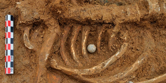 A musket ball placed between the ribs of the skeleton of a soldier killed in the Battle of Waterloo, is pictured at the site where the bones were found in Waterloo.