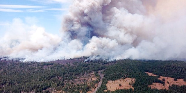 August 1, 2014: This photo provided by the U.S. Forest Service shows the  Eiler Fire burning near Old Station, California. (AP/U.S. Forest Service)