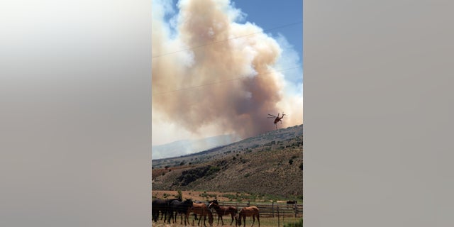 June 27- A helicopter carrying a bucket of water heads toward the Wood Hollow Fire in central Utah.