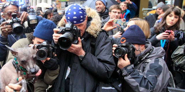 Photographers surround Alma Dulce, a 2-year old Xoloitzcuintli ahead of a news conference, on Jan. 26, 2012 in New York.