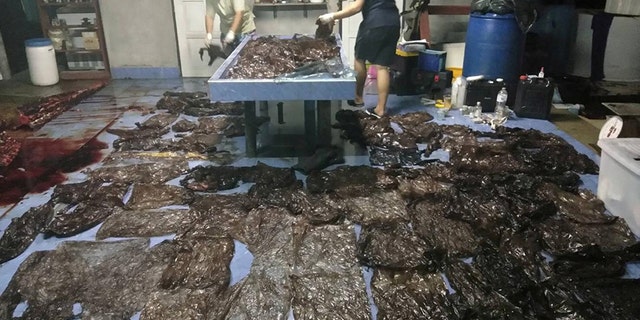 Up to 80 plastic bags extracted from within a whale are seen in Songkhla, Thailand, in this still image from a June 1, 2018 video footage by Thailand's Department of Marine and Coastal Resources.