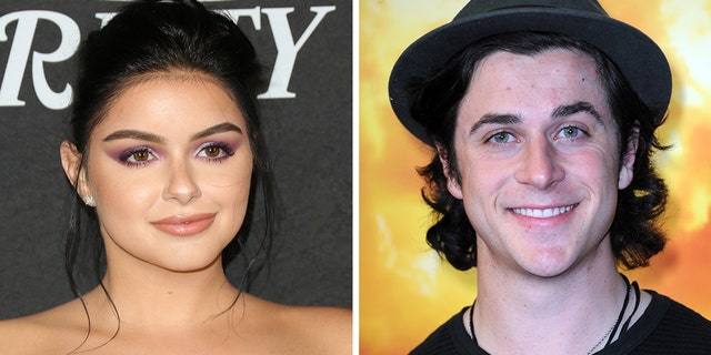 Ariel Winter slammed actor David Henrie on Twitter Tuesday after the 29-year-old was reportedly arrested for carrying a loaded gun to an airport earlier this week.