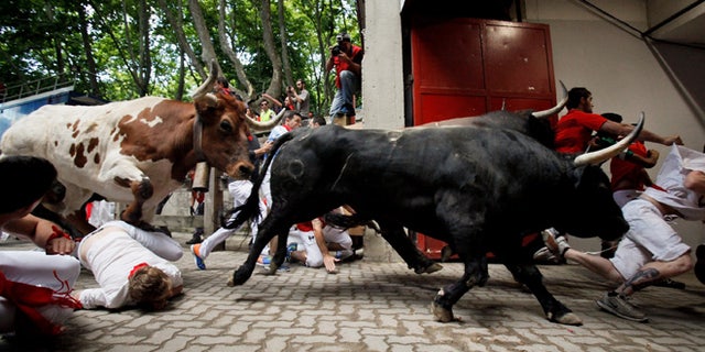 PAMPLONA, SPAIN - JULY 08:  Revellers fall while running with the Tajo and the Reina's fighting bulls entering the bullring during the third day of the San Fermin Running Of The Bulls festival on July 8, 2015 in Pamplona, Spain. The annual Fiesta de San Fermin, made famous by the 1926 novel of US writer Ernest Hemmingway entitled 'The Sun Also Rises', involves the daily running of the bulls through the historic heart of Pamplona to the bull ring.  (Photo by Pablo Blazquez Dominguez/Getty Images)