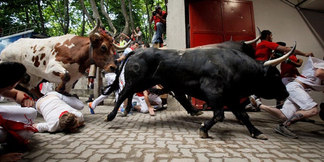 PAMPLONA, SPAIN - JULY 08: Revellers fall while running with the Tajo and the Reina's fighting bulls entering the bullring during the third day of the San Fermin Running Of The Bulls festival on July 8, 2015 in Pamplona, Spain. The annual Fiesta de San Fermin, made famous by the 1926 novel of US writer Ernest Hemmingway entitled 'The Sun Also Rises', involves the daily running of the bulls through the historic heart of Pamplona to the bull ring. (Photo by Pablo Blazquez Dominguez/Getty Images)