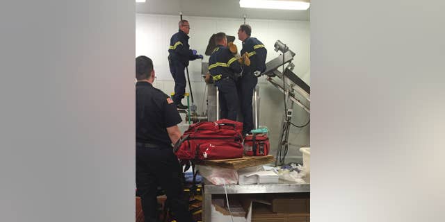 In this July 16, 2015 photo provided by the San Luis Obispo Fire Dept., a worker is assisted by fire personnel after his sleeve was caught in a meat grinder in San Luis Obispo, Calif. Fire officials say the employee at a wholesale California grocer is lucky to be alive after getting caught in a running meat grinder. The worker's sleeve got caught and was being pulled in when a co-worker heard his screams and shut the machine off. Fire crews had to pry the machine open to get the worker out who suffered a broken arm. (Garret Olson/San Luis Obispo Fire Dept. via AP)