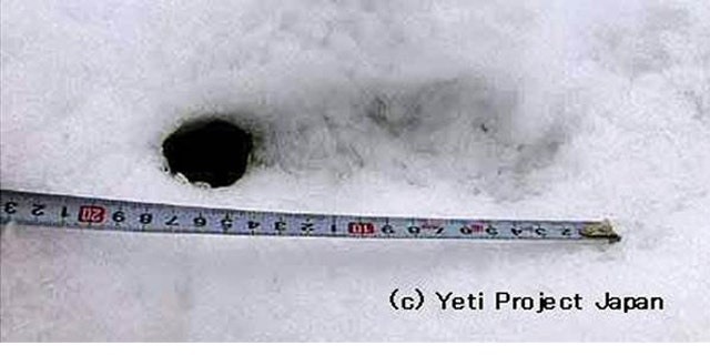 Siberian Region Claims Indisputable Proof Yeti Exists Fox News