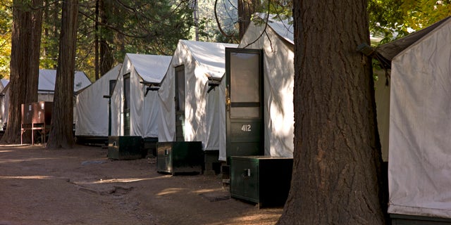 Curry Village in Yosemite National Park, Calif. (AP Photo/Ben Margot)